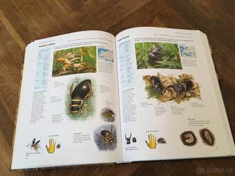 Zvířata - Velká ilustrovaná encyklopedie (nová) - 3