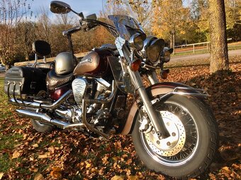 Yamaha XV 1600 WildStar - 3