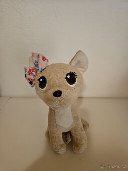 Simba Chi chi love čivava - 3