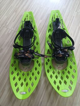 Sněžnice Morpho bigfoot - 3