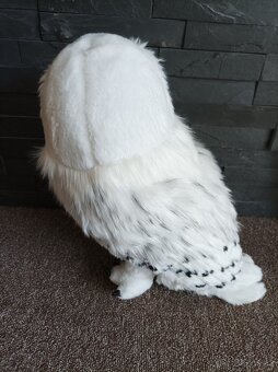 Sova Hedvika - 3