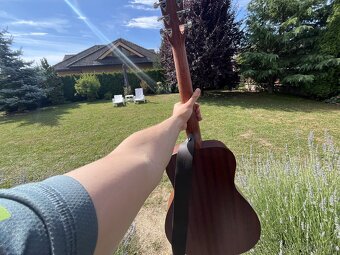 Martin LX1E - 3