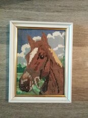 Obrazy koni - 3