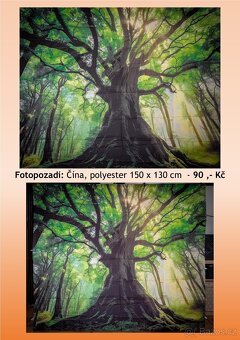 Foto pozadí - Strom v lese - 3