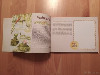 O Bětušce a Vašíkovi - Ivana Hanáková - RARITA - 3