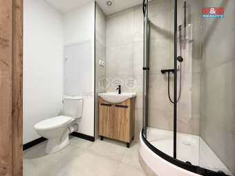 Pronájem bytu 1+1, 38 m², Habartov, ul. Raisova - 3
