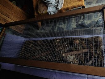 Terárium pro plazy - 3