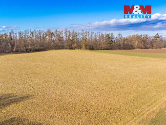 Prodej louky, 11767 m², Benešov - 3