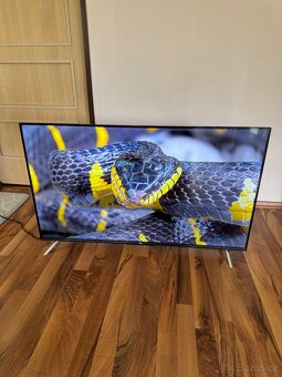 Televize TLC 43” - 3