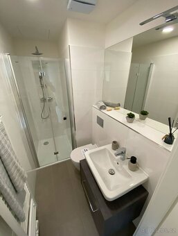Pronájem bytu 2+kk, 42 m² – Rezidence Depo Grébovka - 3