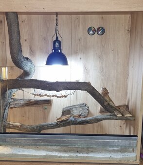 Terarium zlaty Dub 150cm - 3