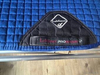 Lemieux drezurní - 3