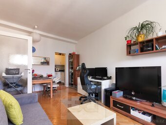 Světlý, prostorný byt 2+kk pár kroků od Letné a Stromovky - 3