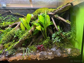 Terárium / Paludárium 110x45x50 - 3