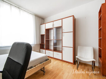 Pronájem bytu 1+kk, U Družstva Repo, Nusle, 15900 Kč/měs, 41 - 3