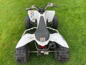 Yamaha Raptor 250 - 3