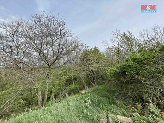 Prodej louky, 3369 m², Nové Sedlo - 3