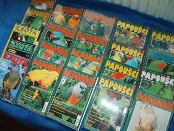 Papoušci, andulky, psi, ryby, akvárium - 3
