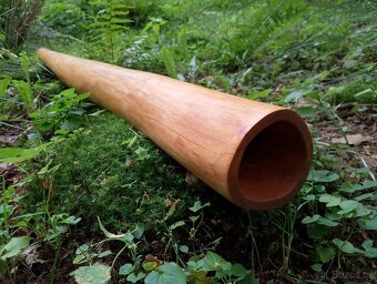 Didgeridoo - Olše - 3