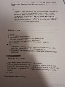Vypracovaná maturitní četba buď pdf verze nebo papir - 3