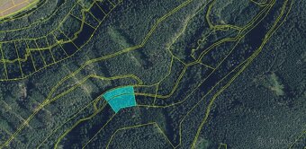 Prodej lesa, 5 021 m², Proseč - 3