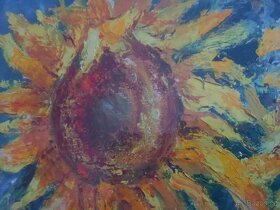 obraz slunečnice - Josef Dítě  57 x 74 cm - 3