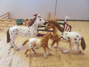 Schleich apaloosa - 3