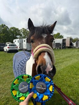 Pony pro dítě - 3