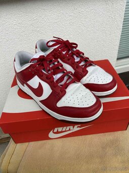 Nike Dunk Low Next Nature - 3