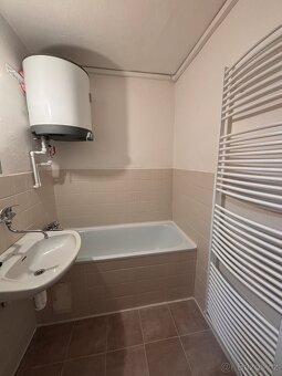 Pronájem, byt 1+1, Dolní Libchavy - 3