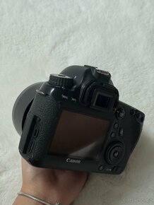 Canon 6d + lens 50mm 1:1.8 STM - 3