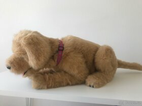 York Frr Biscuit My Lovin Pup - 3