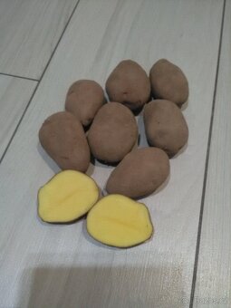 Konzumní brambory červené. - 3