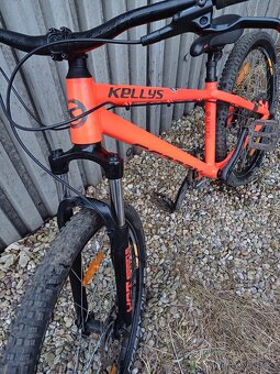 Kellys whip 10 - 3