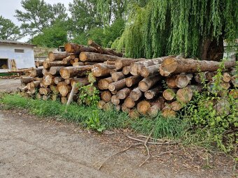 Prodej palivového dříví Královehradecký kraj - 3