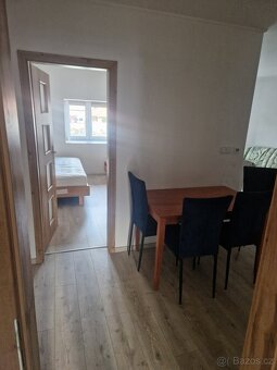Pronájem nízkoenergetického bytu 1+1 Bílině - 3