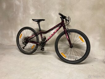 Dívčí kolo Amulet tomcat 24” - 3