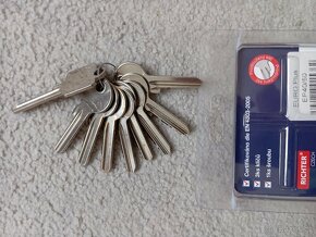 Bezpečnostní vložka Richter EuroPlus 40/50 včetně 9 ks klíčů - 3