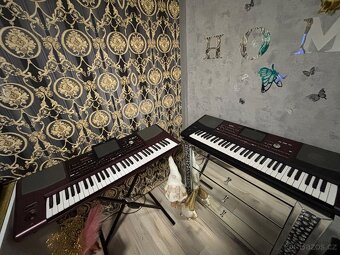 Prodám Korg pa 700 HDMI - 3