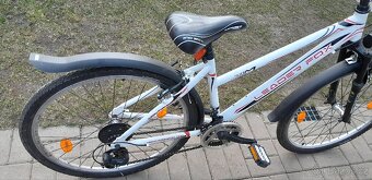 Kolo Leader Fox 26" - 3