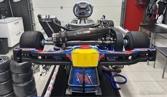 motokára ROK GP MS BLUE PHOENIX + motor - 3