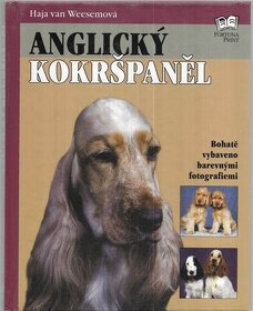 Labradorský retrívr, Yorkšírský teriér, Anglický kokršpaněl - 3