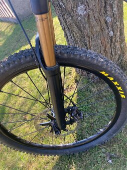 Canyon nerve Al - 3