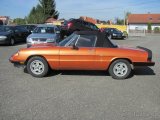 Alfa Romeo 2,0i Spider r.v. 1984 - 3