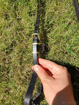 Prodám luxusní hanoverský nánosník - 3