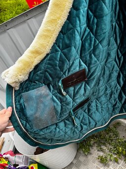 Kentucky Velvet Show Rug - 3