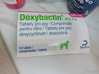 Výživy pro psa s antibiotiky na predpis - 3