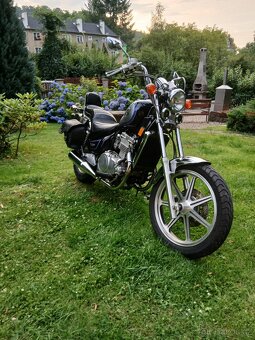 Kawasaki EN 500 Vulcan 25 kW - 3