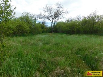 Znojmo, zahrada 473 m2, elektřina, voda, ovocné stromy - zah - 3