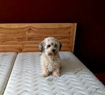 Jasanové postele - 3